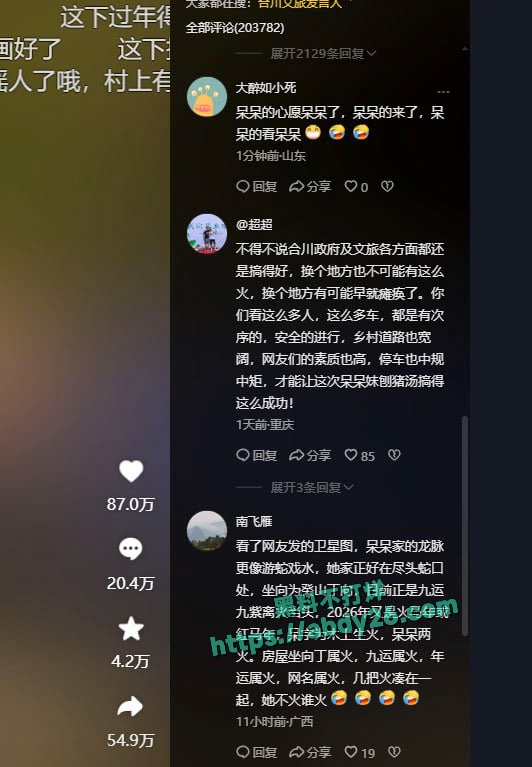 重庆合川呆呆杀猪事件燃爆网络 5