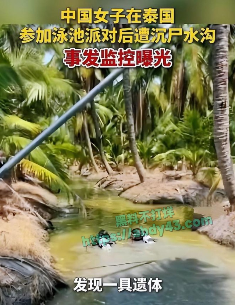 安徽34岁女子在泰国被抛尸水沟31