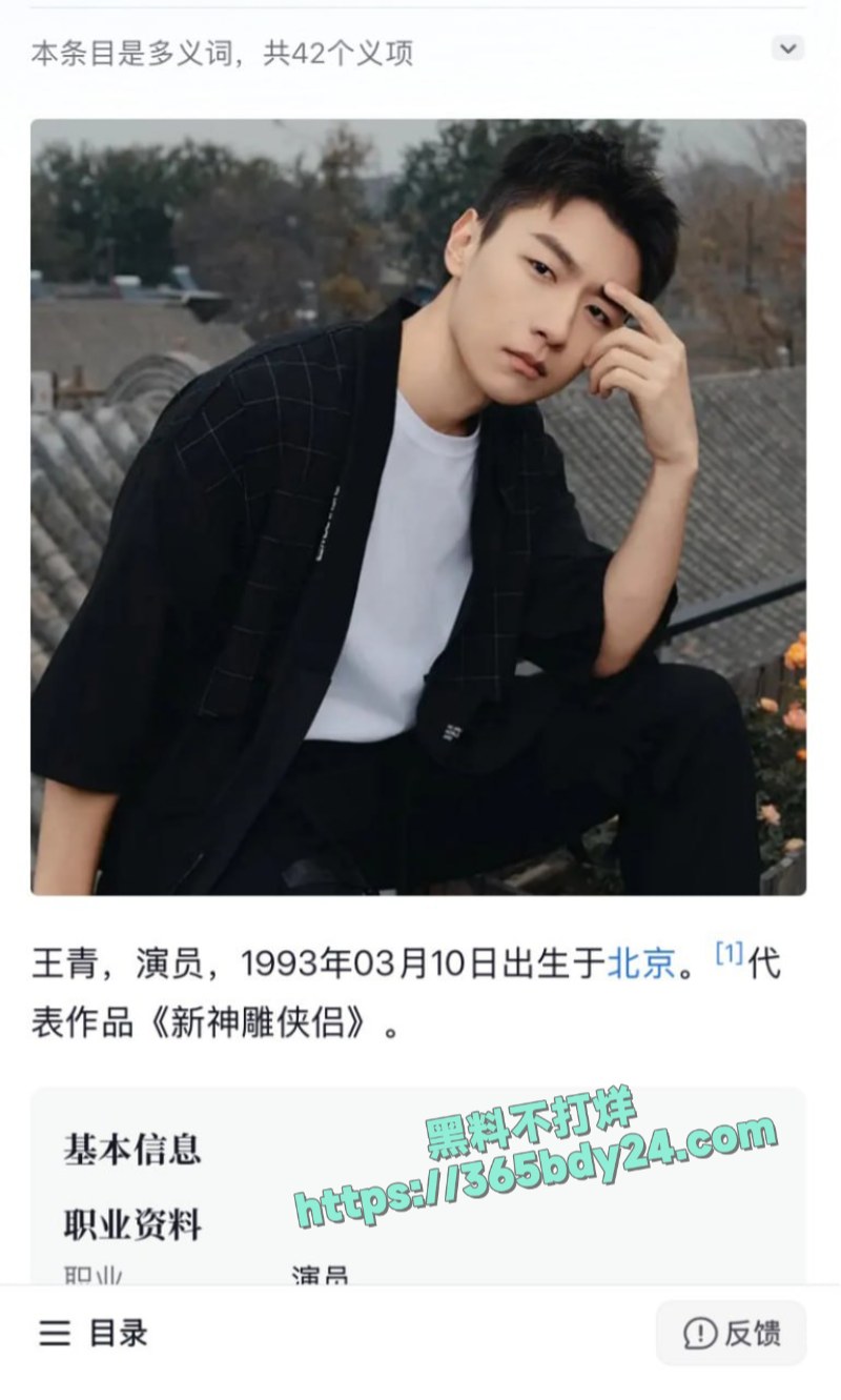 内娱演员情侣王青王鹤润车库吵架被狗仔抓拍 3