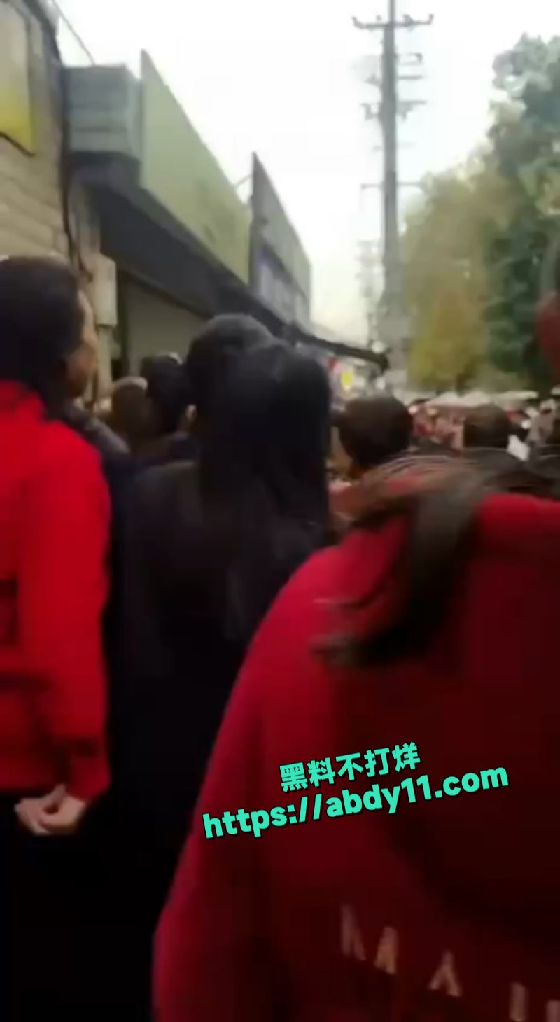 益阳又一大新闻6