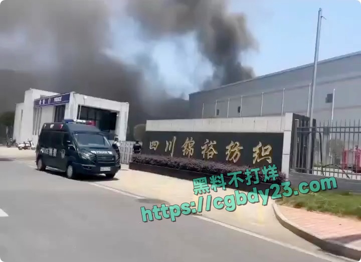 宜宾纺织厂被纵火8