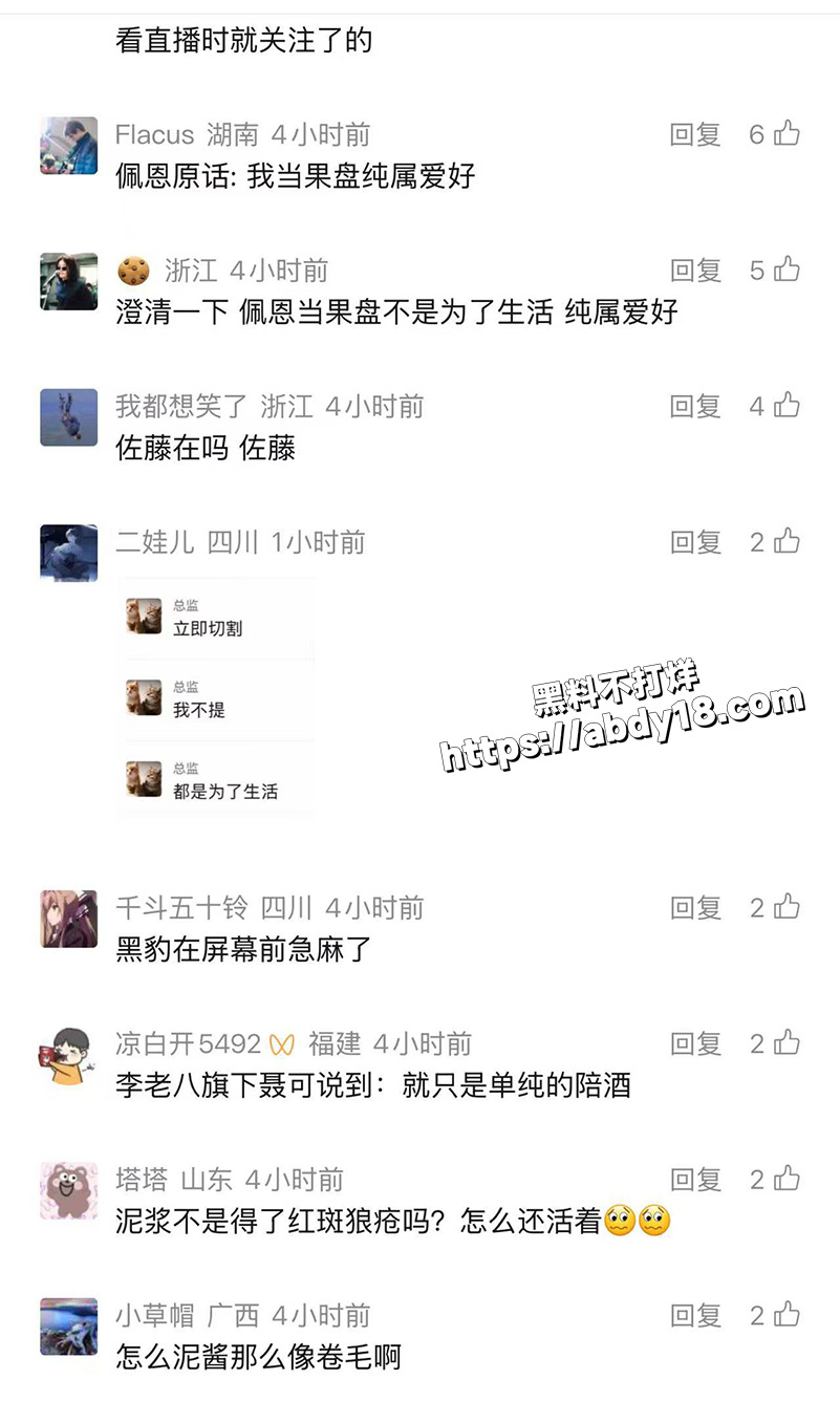 抽象果盘女佩恩自爆04
