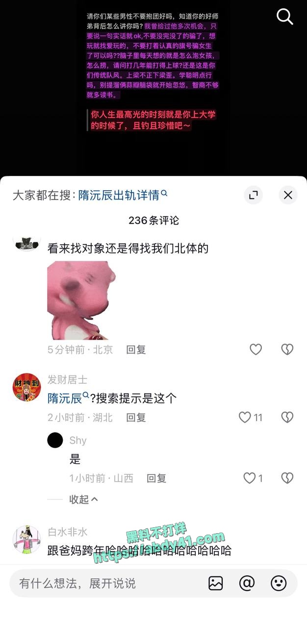 隋沅辰出轨详情 29