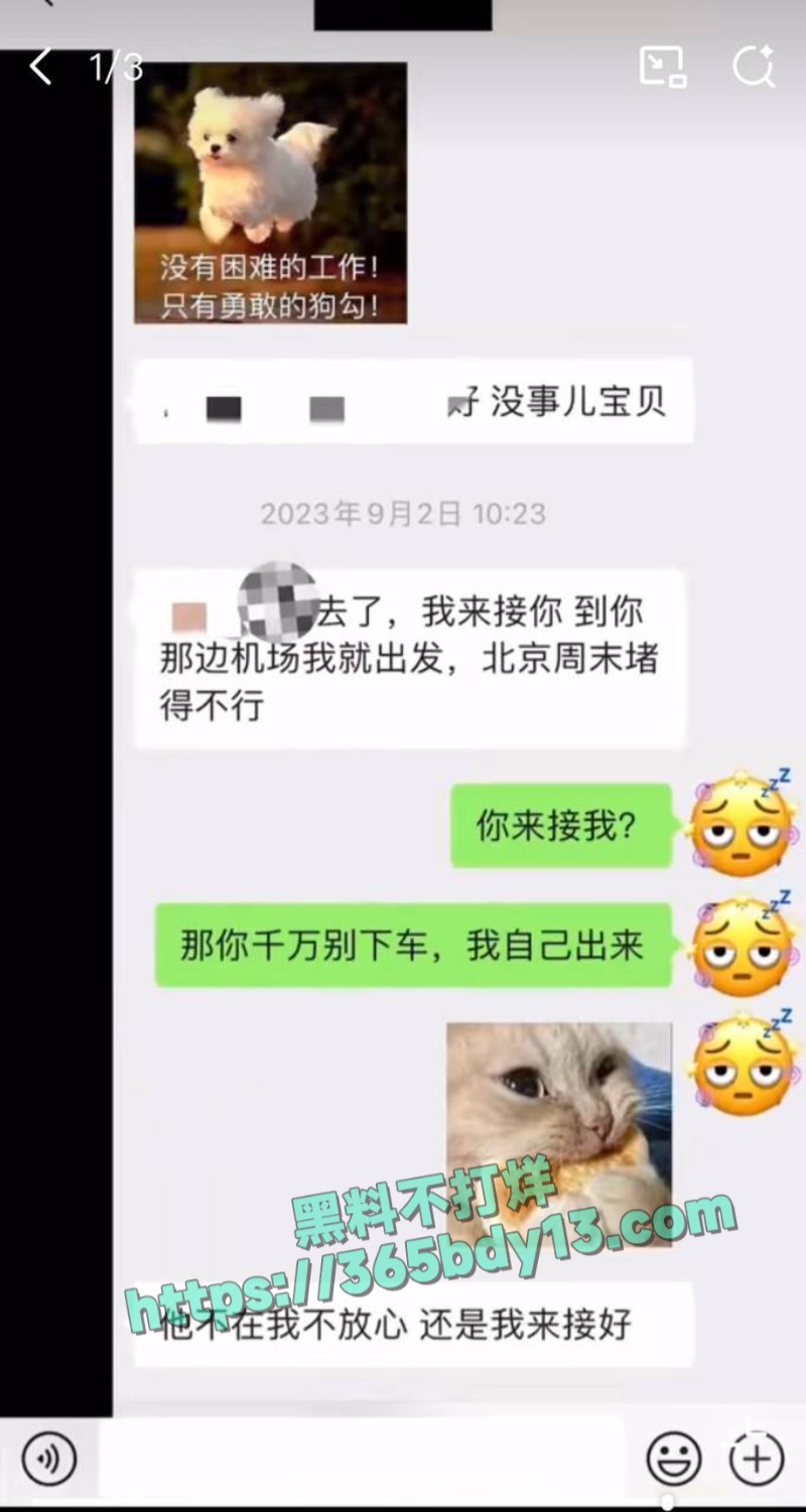 女网友与魏大勋聊天记录16