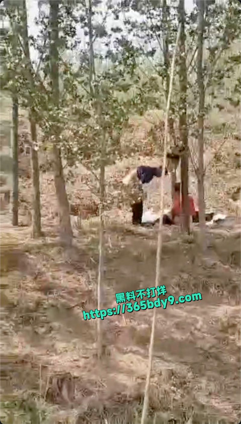 同性恋野战被拍2