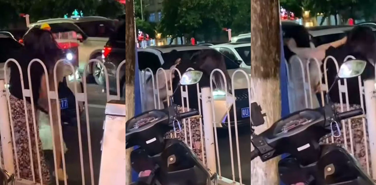 潮州街头原配怒撕小三现场视频 两人大打出手导致大堵车 节目效果直接拉满