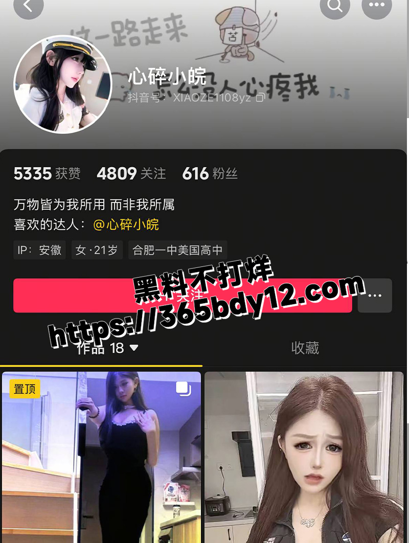 呆呆皖9