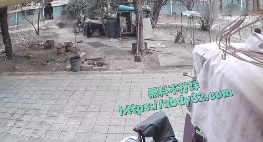 连云港两男孩烧死笼中萨摩耶  15