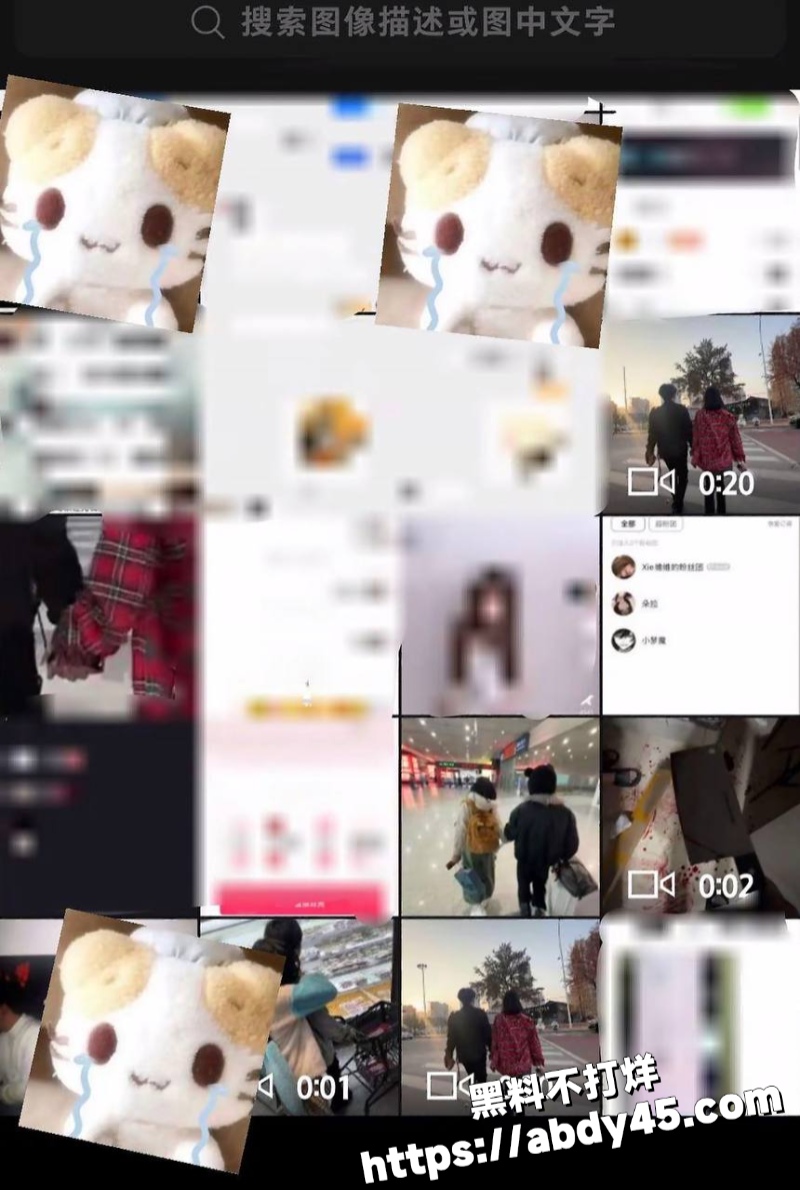 罗琰泽立单身人设约炮女粉22