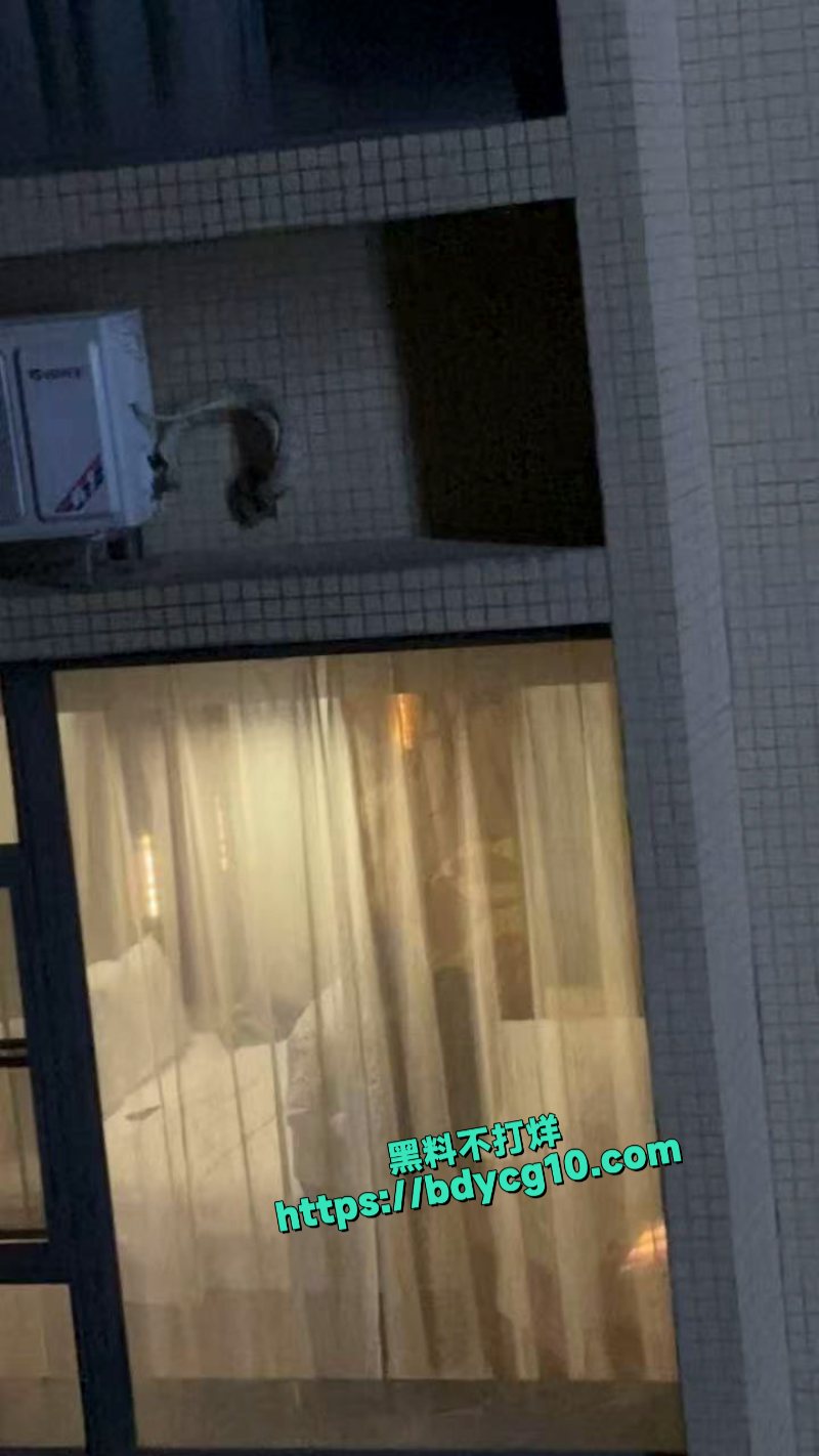夫妻做爱不拉窗帘被对面楼一群老六拍下全程1