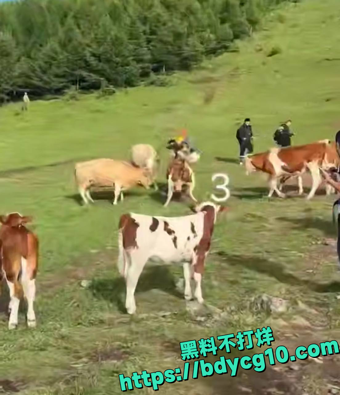 五台山景区游客没素质作死记3