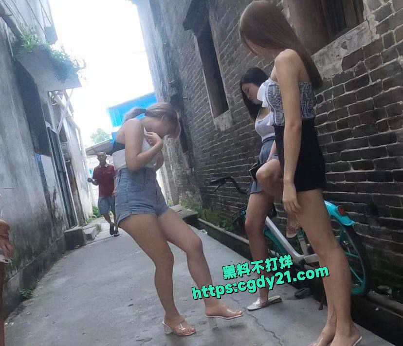 淳朴的乡村气息又出现了 五彩斑斓的鸡13