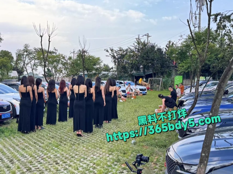 凯迪拉克车友会2