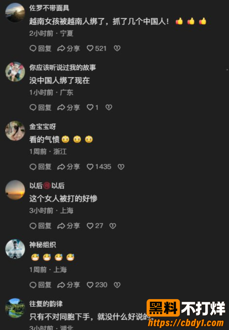 柬越边境木牌1