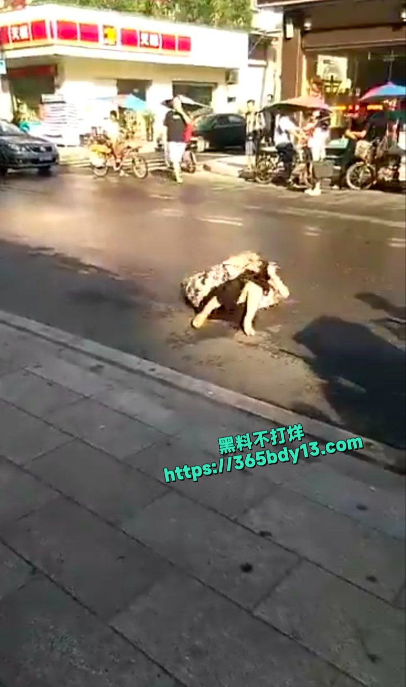 当街打架1