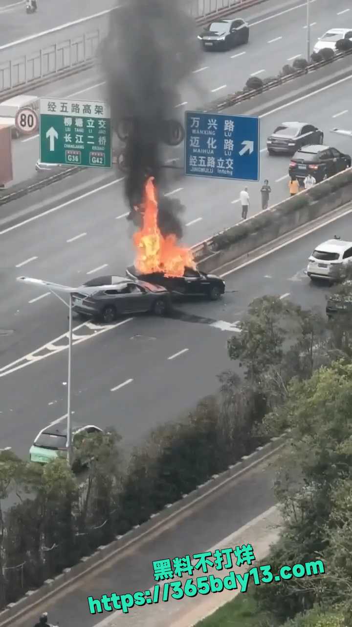 南京 栖霞大道 蔚来 比亚迪新能源 车祸 9