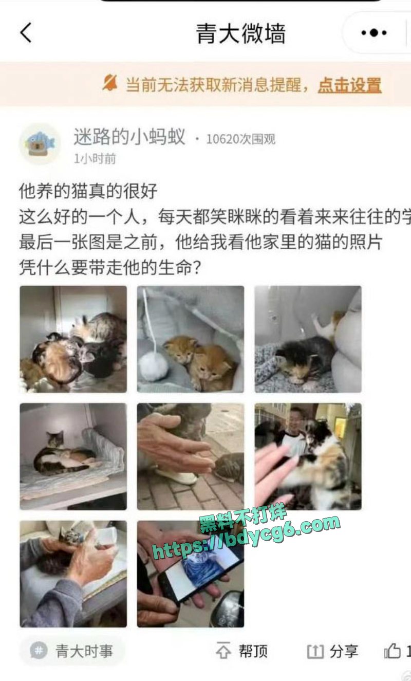 青岛大学的门卫大爷中暑热死了4