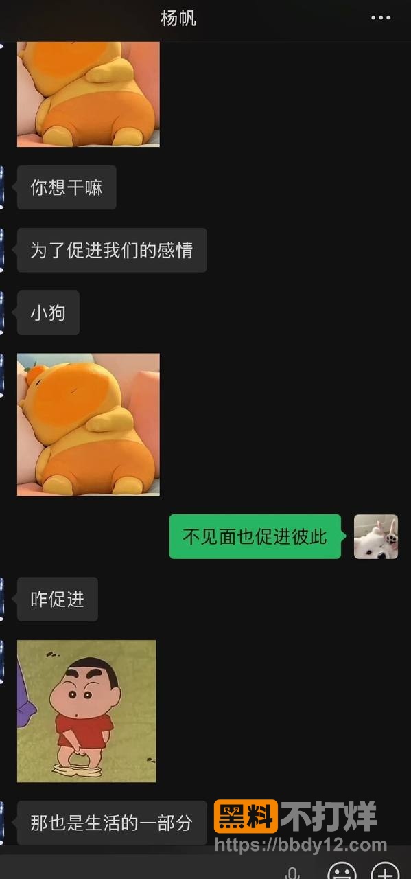 聊天记录12