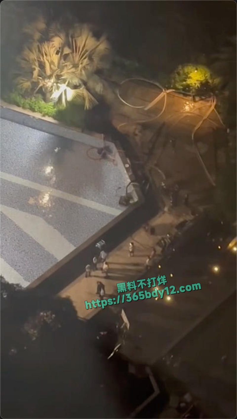 保利天汇三期宸悦花园有小孩在游泳池游泳被吸入下水管道7