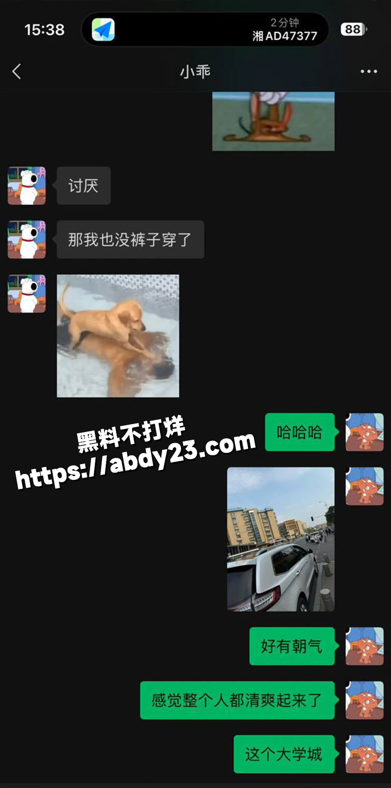 全网60w粉TS网红选妃睡粉17