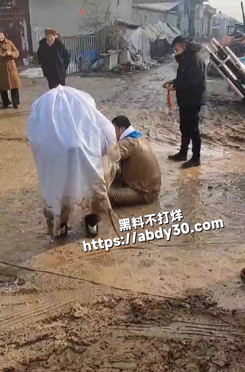 这钱赚得也真是不容易3