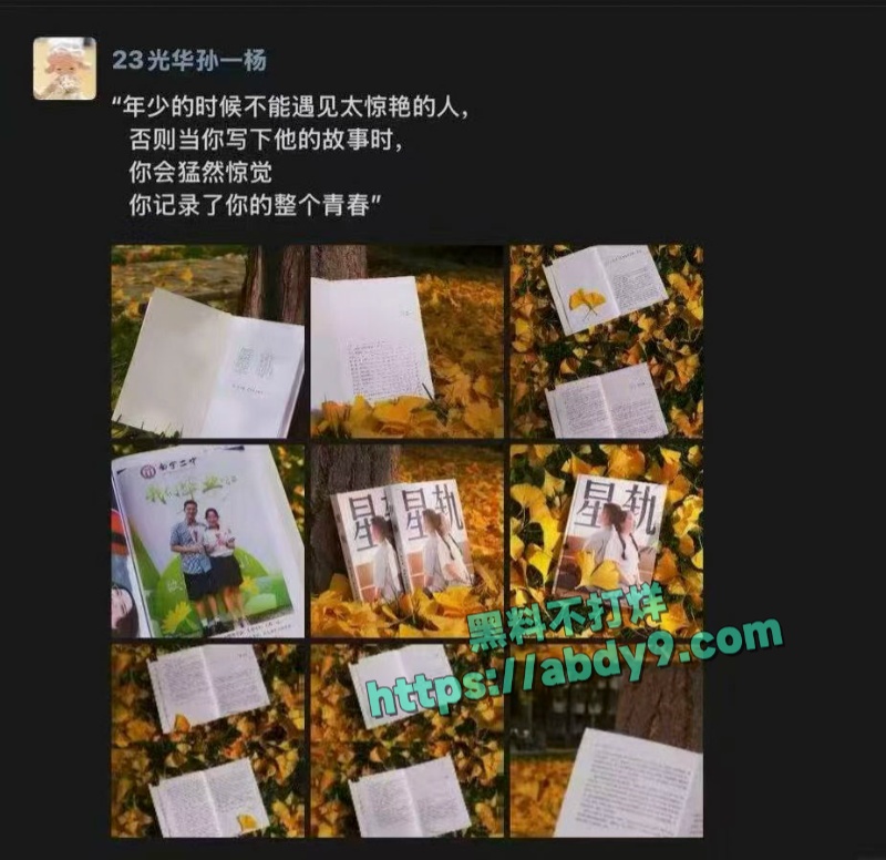 23届文科状元孙一杨邓开文恋爱秘史 10