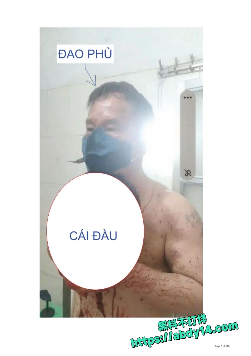 越南屠夫5