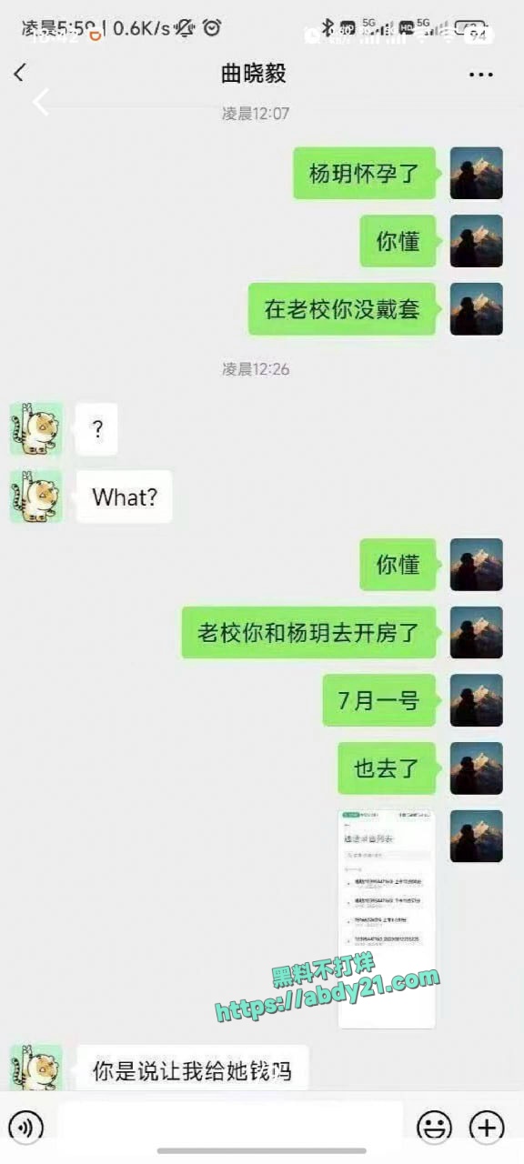 杨玥与多个同校男学生做爱怀孕 3