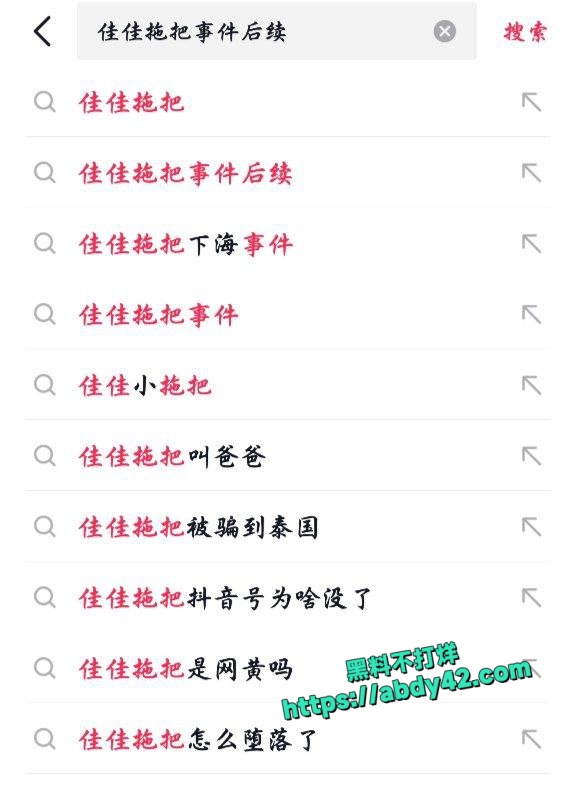 佳佳拖把 2
