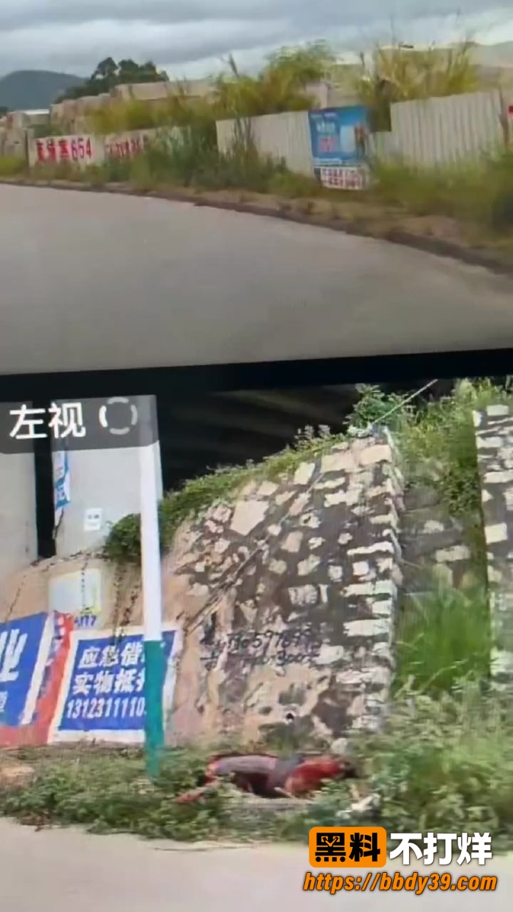 分尸案8