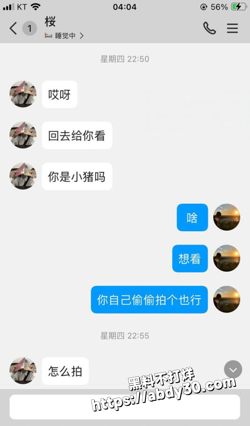 上海极品小萝莉 黄叶4