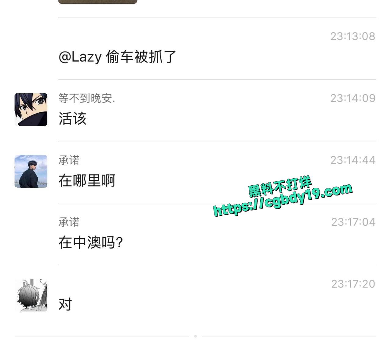 中澳精神小伙偷车被打4