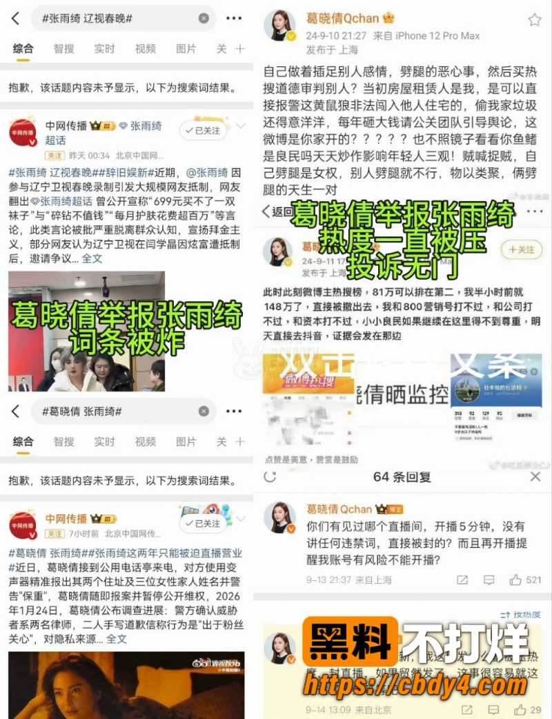 张雨绮代孕黑料 28