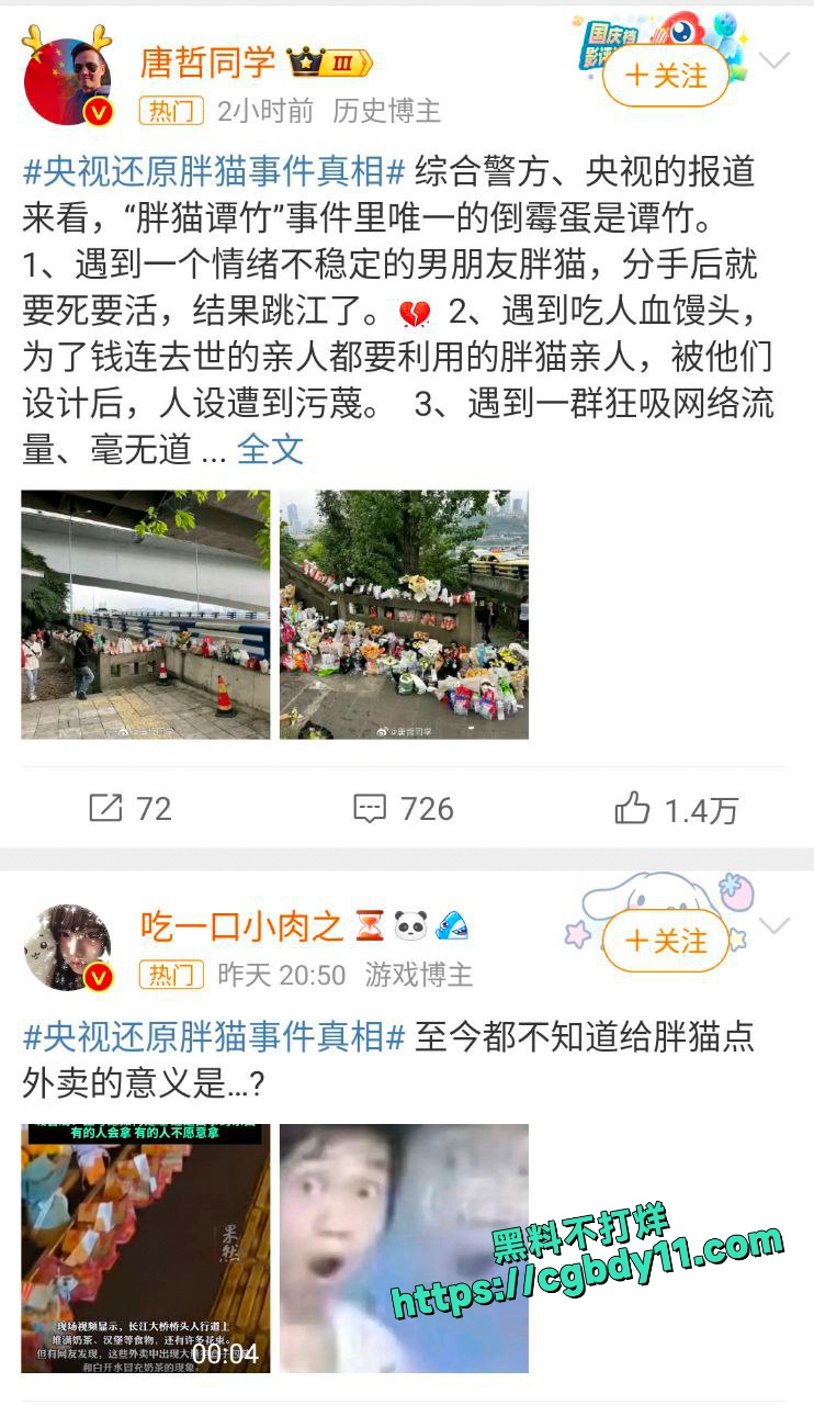 胖猫谭竹事件 (1).jpg