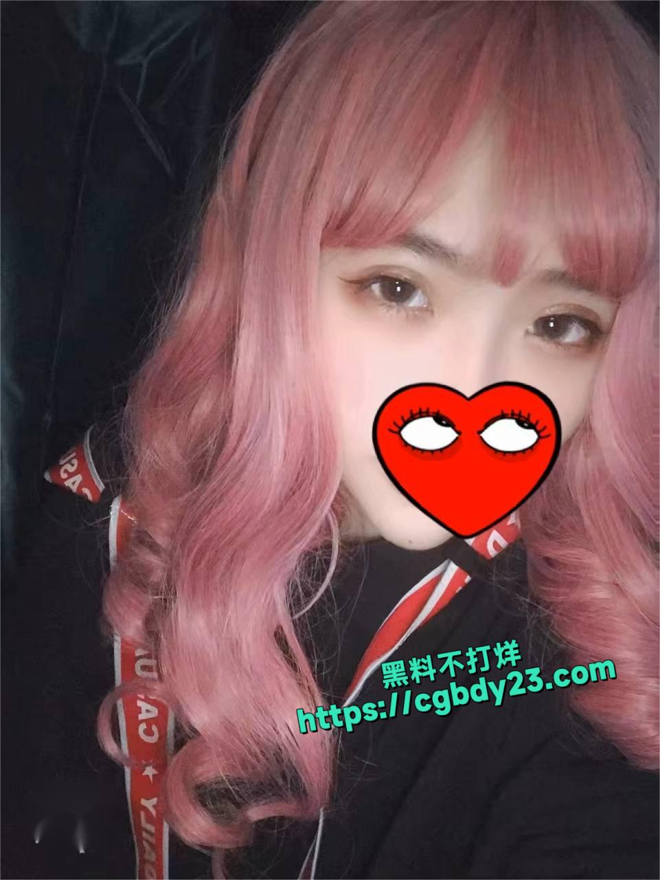 成都夏渝6