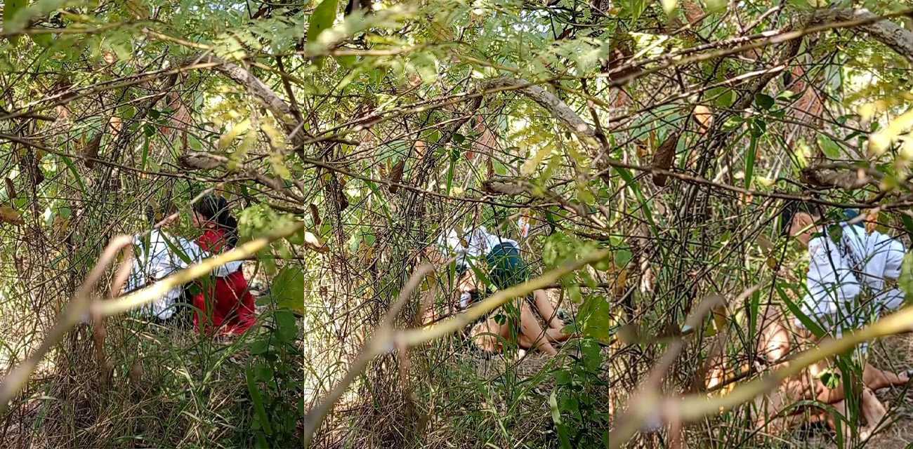 干柴遇烈火 小情侣踏青途中性欲难忍 竟直接小树林野战开啪
