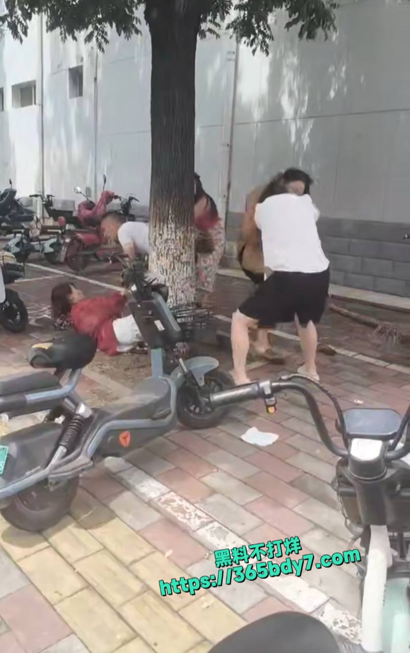 男的出轨原配打小三