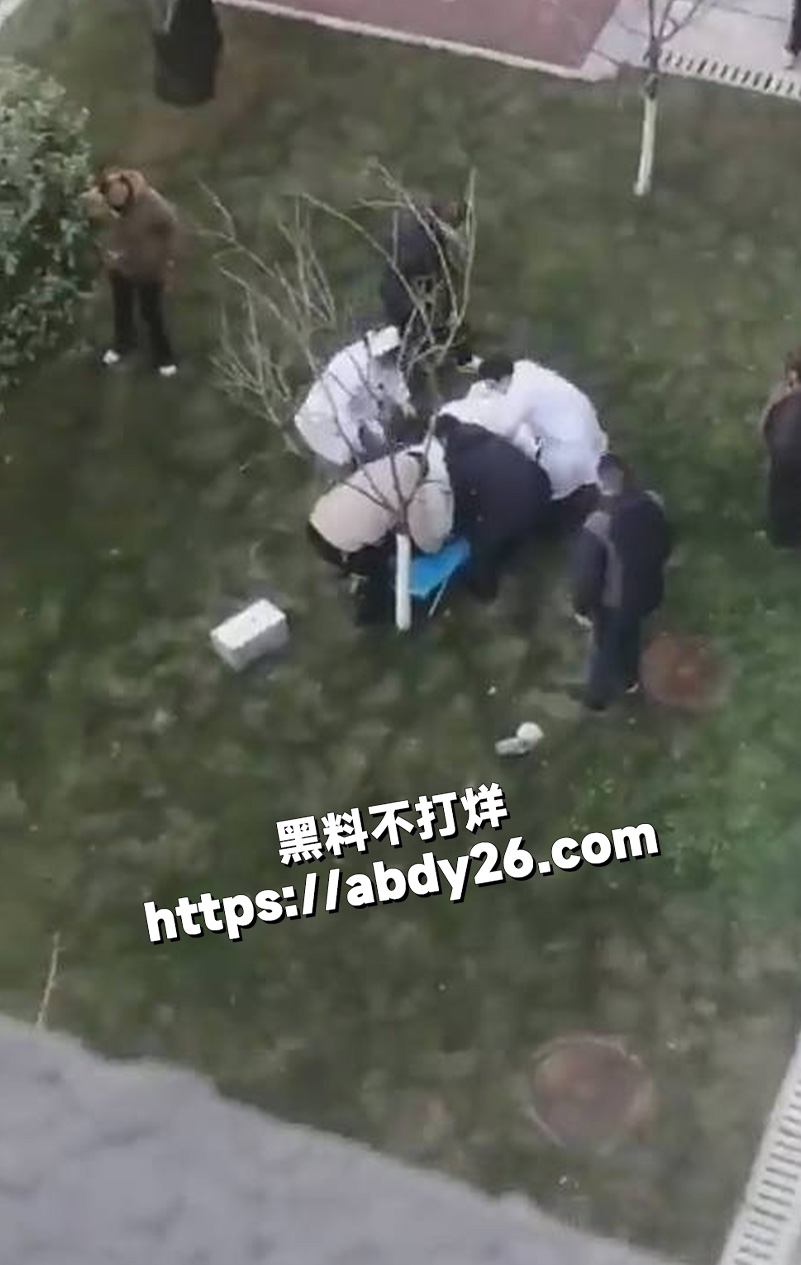 湖南益阳五雅高级中学2