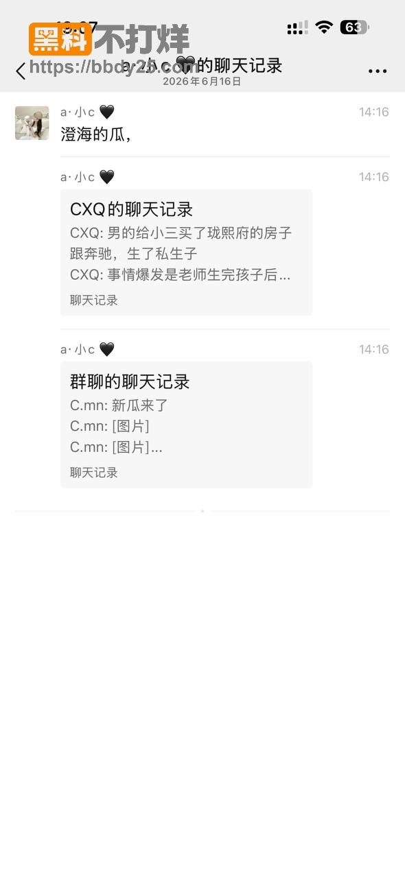 潮汕本地大瓜6