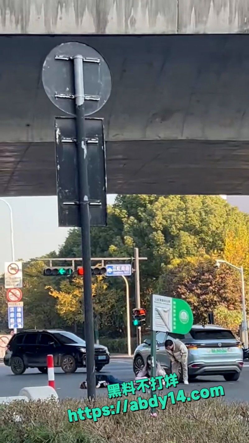 杭州母女吵架吃瓜 2