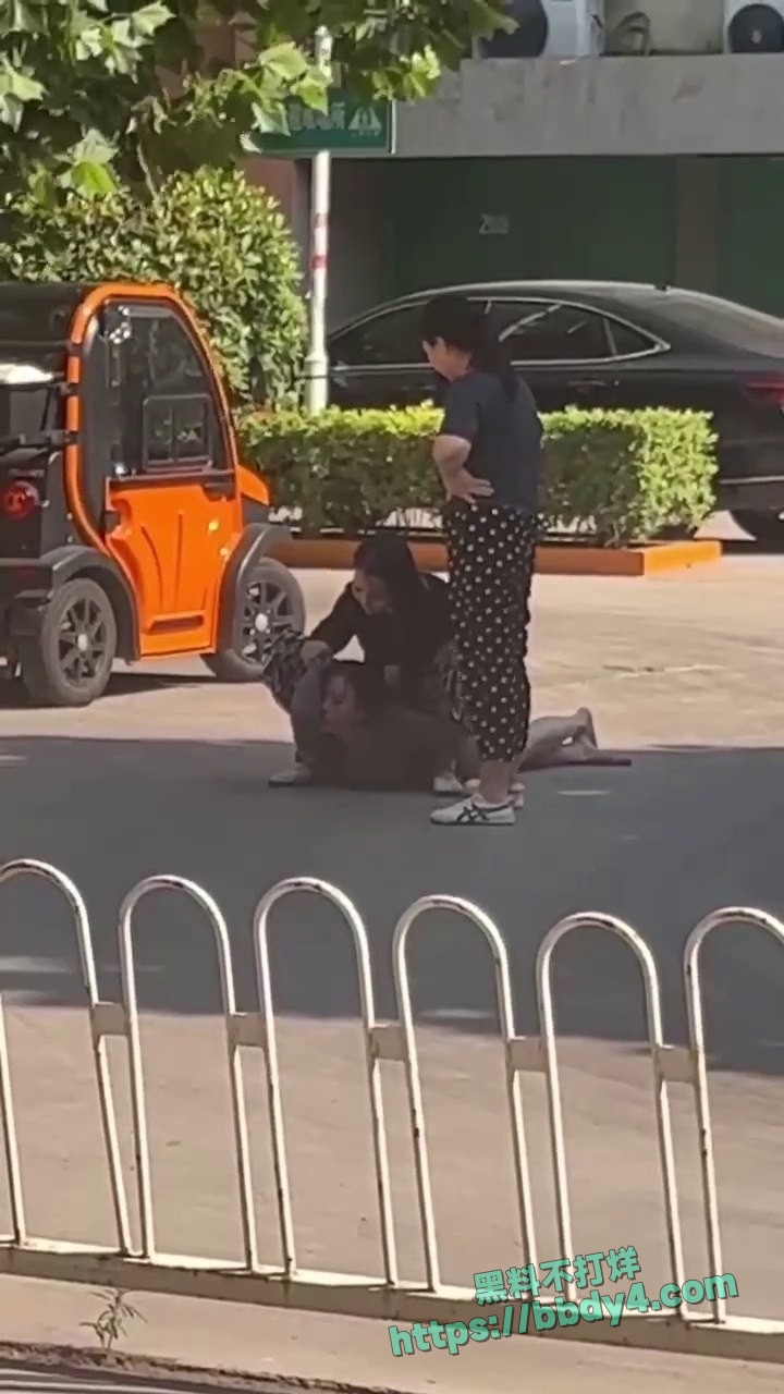 愤怒正妻当街暴打小三03