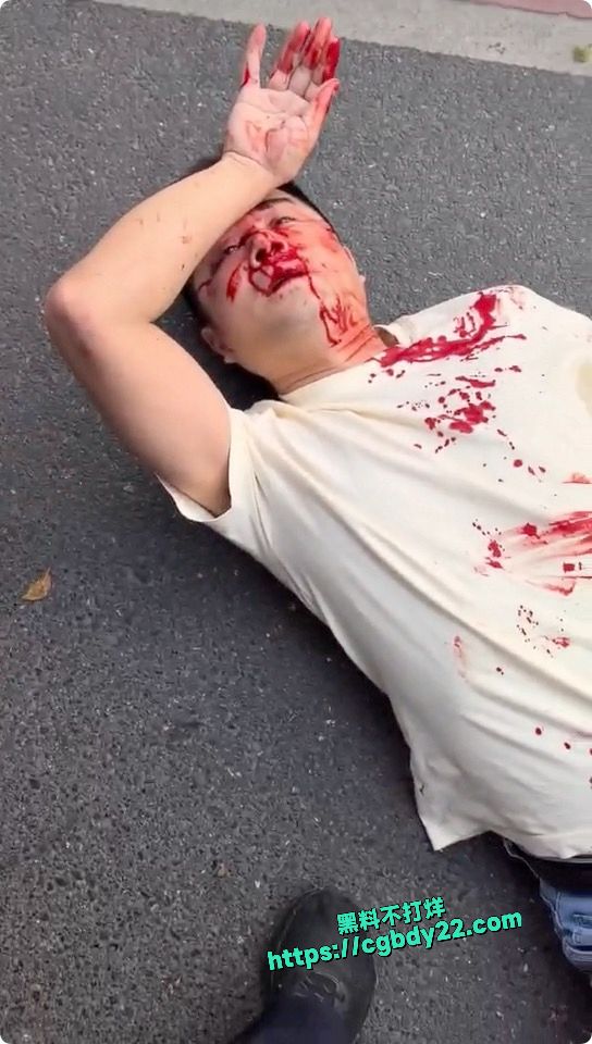 广东潮汕车祸撞人拦车5