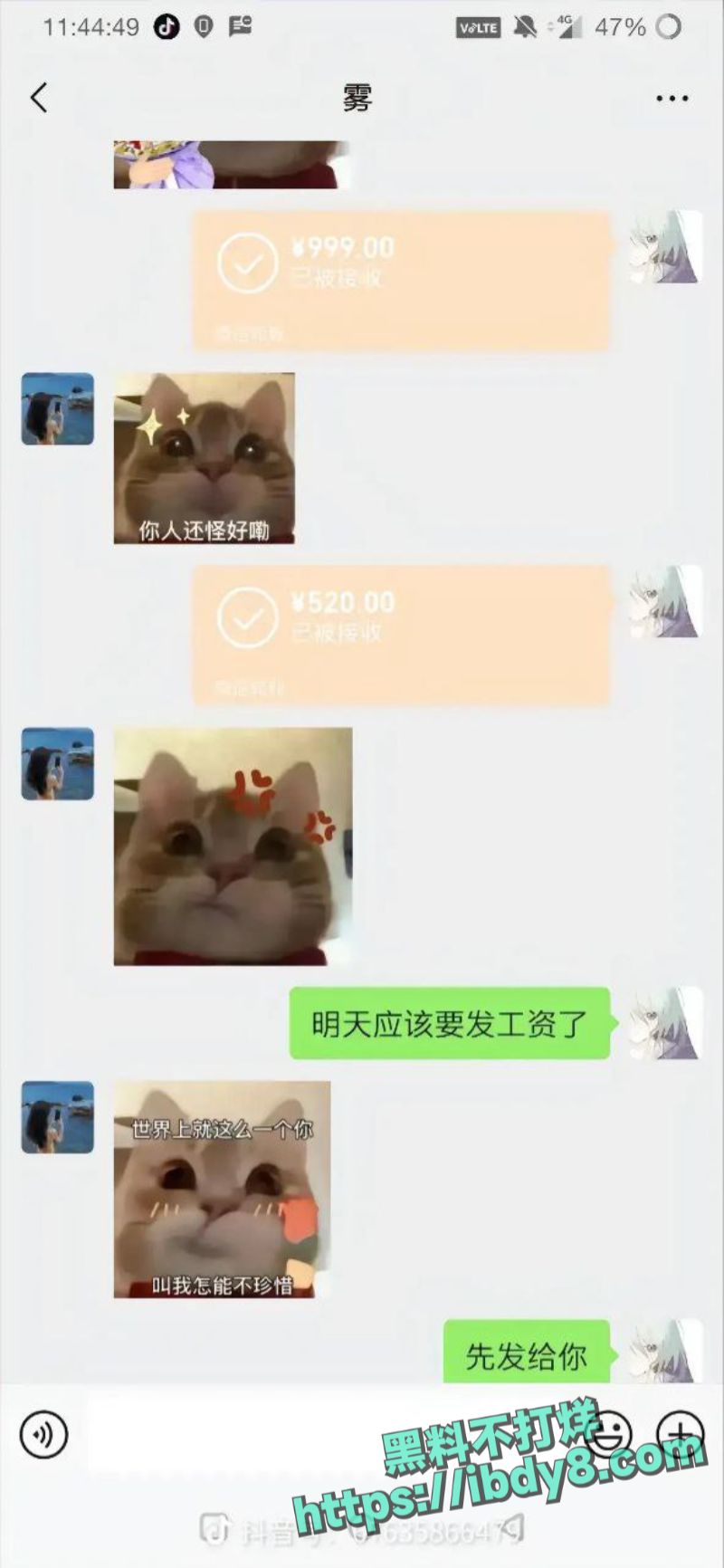 27.jpg
