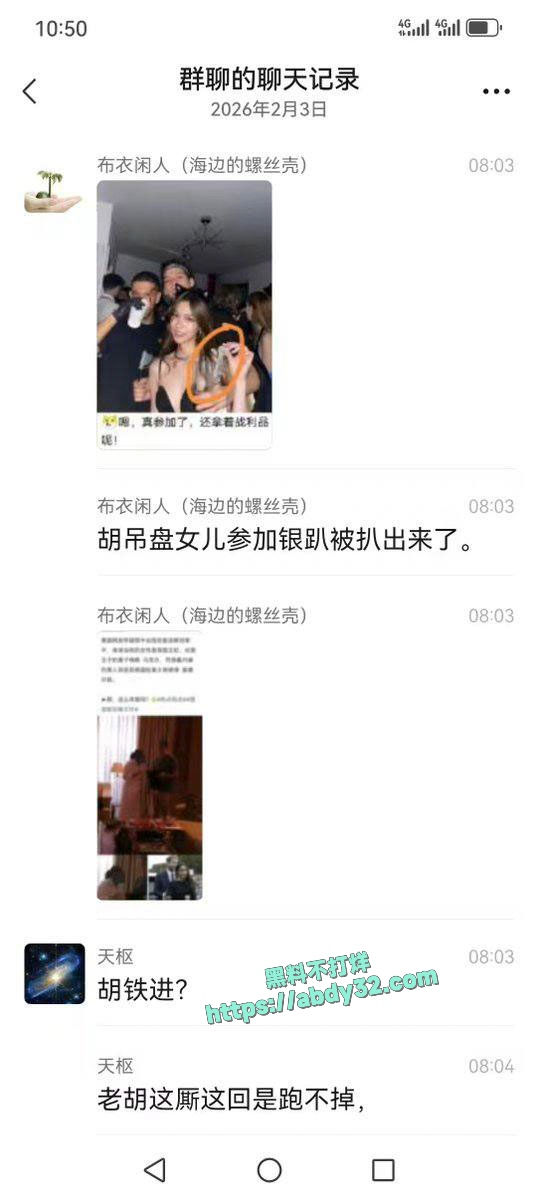 环球总编胡锡进女儿胡维佳国外开淫趴 4