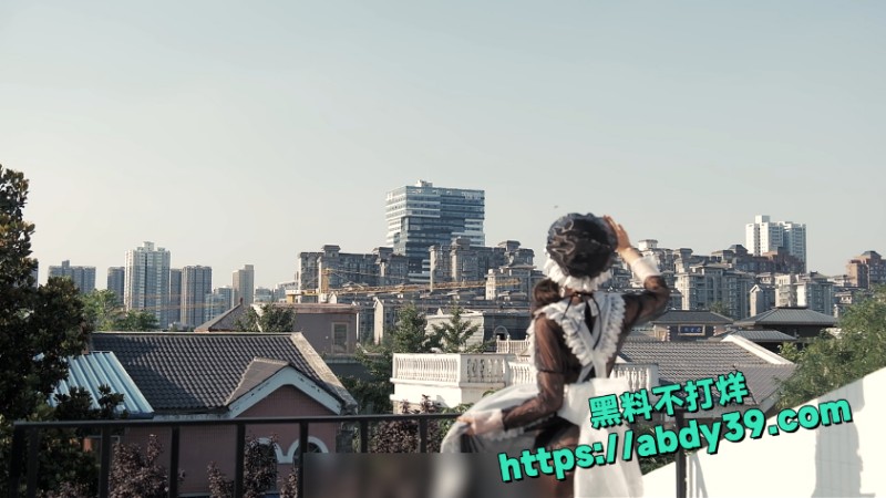 透明女仆装写真 极尽诱惑 11