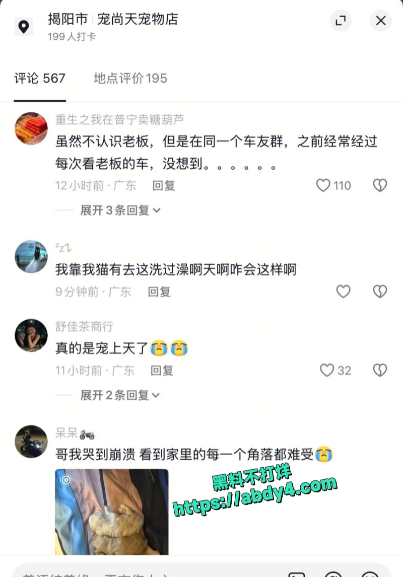广东揭阳普宁流沙大道宠物店突发火灾 2