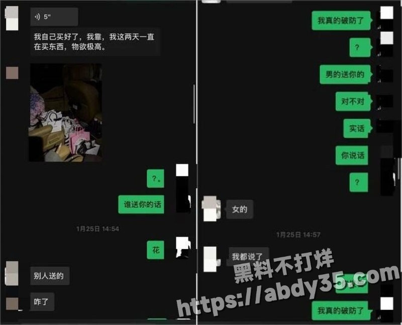 澳洲留学生陈某某脚踏两船捞金实录21