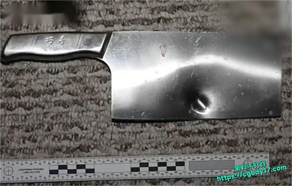 华人大妈持菜刀与警方对峙被击毙6