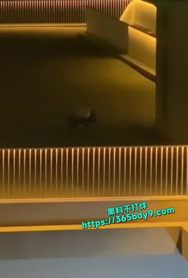 在楼顶做爱被偷拍1