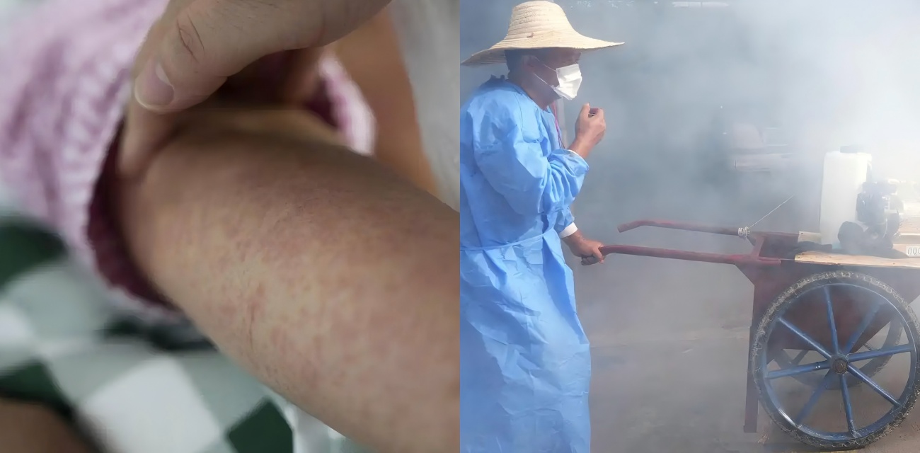 佛山基孔肯雅热来势汹汹 免费核酸三天不停 珠海推迟开学 蚊子作乱咋整？